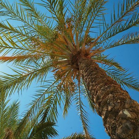 Kallitsakis Beach Platanias  Bagian luar foto